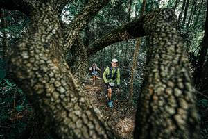 BIB: 
                            <button type="button" onclick="openModal(25392497)" class="btn btn-primary btn-sm float-right btn-popup" data-toggle="modal" data-target=".modal-high-quality">
                        <i class="fas fa-shopping-cart"></i> Add to Cart
                    </button>
                                            <button type="button" onclick="isThisMe(25392497, true)" class="btn btn-success btn-sm float-right btn-popup btn-isme hidden" data-toggle="tooltip" data-placement="bottom" title="นี่คือรูปของคุณใช่ไหม คลิกที่นี่เพื่อเอาเข้าอัลบั้ม">
                        <i class="fas fa-plus"></i> Add to album
                    </button>
                    <button type="button" onclick="isThisMe(25392497, false)" class="btn btn-warning btn-sm float-right btn-popup btn-isnotme hidden">
                        <i class="fas fa-ban"></i> Remove from album
                    </button>